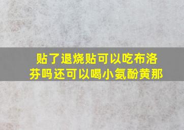 贴了退烧贴可以吃布洛芬吗还可以喝小氨酚黄那