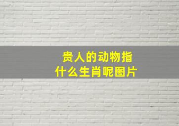 贵人的动物指什么生肖呢图片