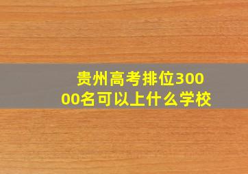 贵州高考排位30000名可以上什么学校