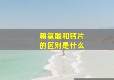 赖氨酸和钙片的区别是什么