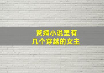 赘婿小说里有几个穿越的女主