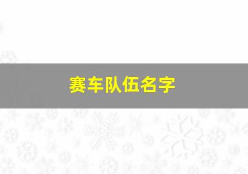 赛车队伍名字