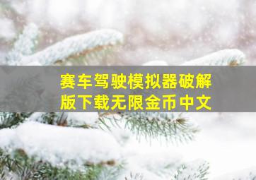 赛车驾驶模拟器破解版下载无限金币中文