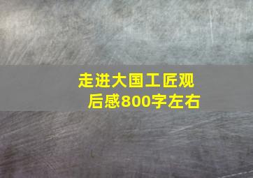 走进大国工匠观后感800字左右