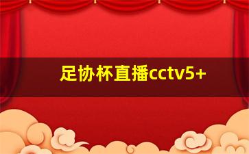 足协杯直播cctv5+