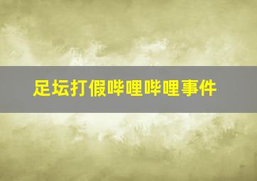 足坛打假哔哩哔哩事件