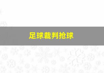 足球裁判抢球