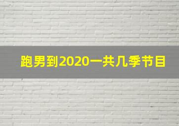 跑男到2020一共几季节目