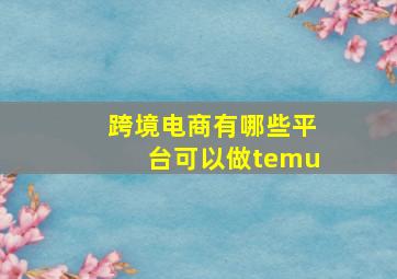 跨境电商有哪些平台可以做temu