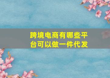 跨境电商有哪些平台可以做一件代发