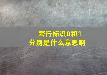 跨行标识0和1分别是什么意思啊