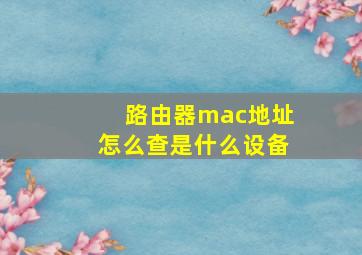 路由器mac地址怎么查是什么设备