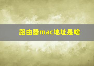 路由器mac地址是啥