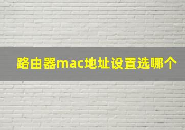 路由器mac地址设置选哪个