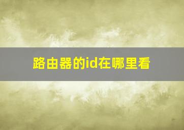 路由器的id在哪里看