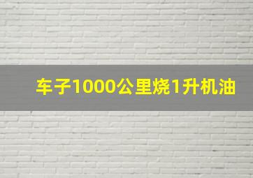 车子1000公里烧1升机油