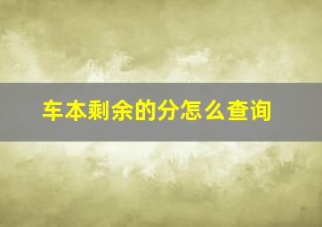 车本剩余的分怎么查询