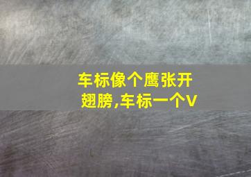 车标像个鹰张开翅膀,车标一个V