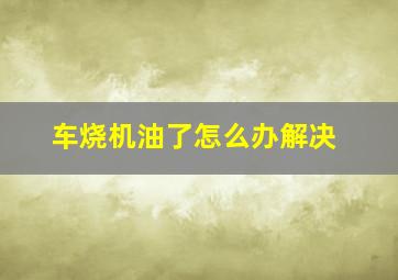 车烧机油了怎么办解决