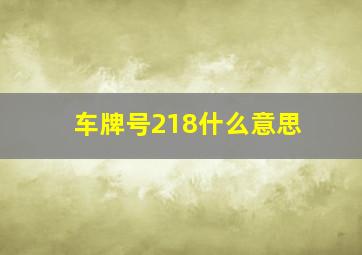 车牌号218什么意思