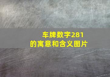 车牌数字281的寓意和含义图片