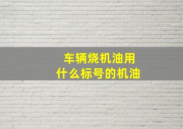 车辆烧机油用什么标号的机油