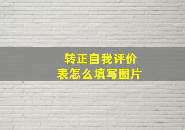 转正自我评价表怎么填写图片