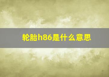 轮胎h86是什么意思