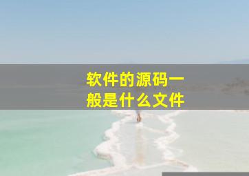 软件的源码一般是什么文件