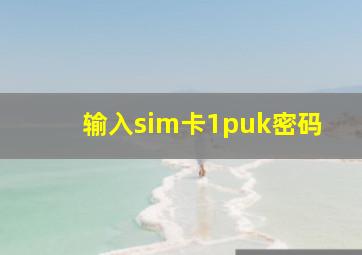 输入sim卡1puk密码