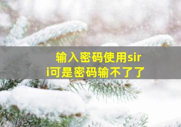 输入密码使用siri可是密码输不了了