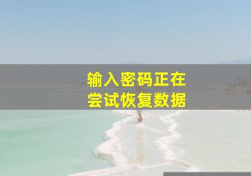 输入密码正在尝试恢复数据