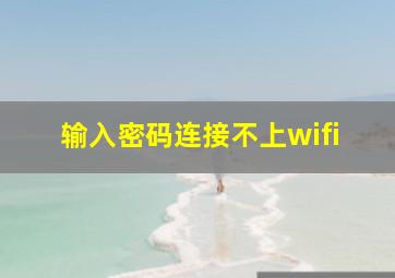 输入密码连接不上wifi