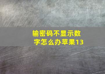 输密码不显示数字怎么办苹果13