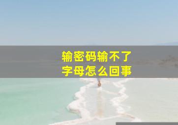 输密码输不了字母怎么回事