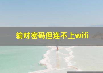 输对密码但连不上wifi