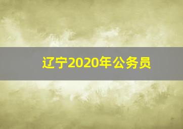 辽宁2020年公务员