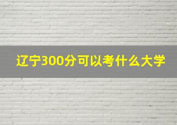 辽宁300分可以考什么大学