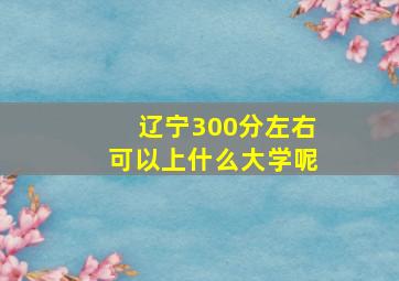 辽宁300分左右可以上什么大学呢