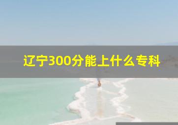 辽宁300分能上什么专科