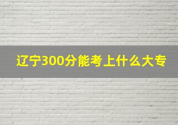 辽宁300分能考上什么大专