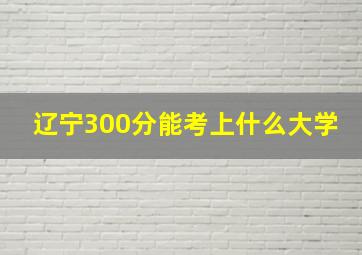 辽宁300分能考上什么大学