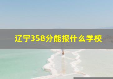 辽宁358分能报什么学校