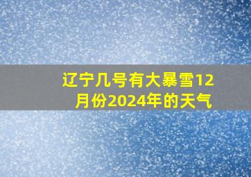 辽宁几号有大暴雪12月份2024年的天气