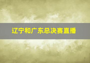 辽宁和广东总决赛直播