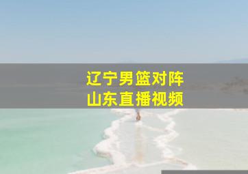 辽宁男篮对阵山东直播视频