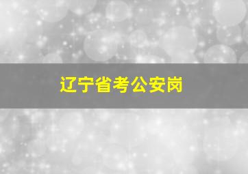 辽宁省考公安岗