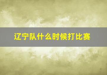 辽宁队什么时候打比赛