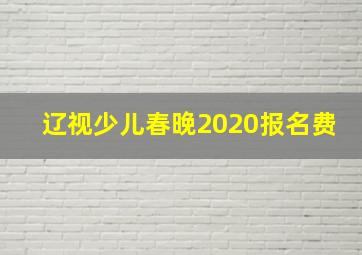 辽视少儿春晚2020报名费