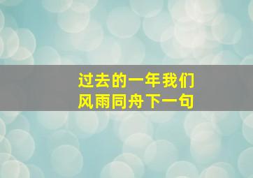 过去的一年我们风雨同舟下一句